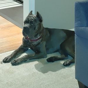 Meet your Posher, Christopher